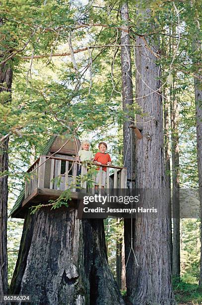 children in tree house - jessamyn harris stock pictures, royalty-free photos & images