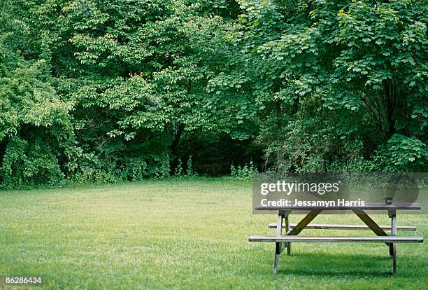 picnic table in park - jessamyn harris stock pictures, royalty-free photos & images