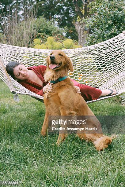 woman on hammock petting dog - jessamyn harris stock pictures, royalty-free photos & images