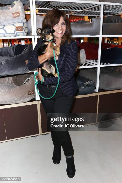 Jane Velez-Mitchell attends a press conference celebrating Calfornia Governor Jerry Brown signing California assembly Bill 485: The Pet Rescue and...