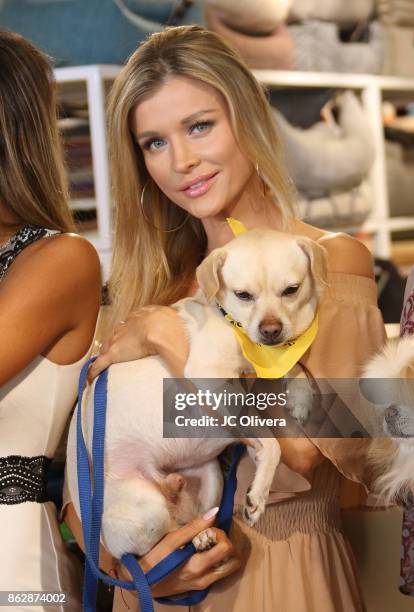 Model Joanna Krupa attends a press conference celebrating Calfornia Governor Jerry Brown signing California assembly Bill 485: The Pet Rescue and...