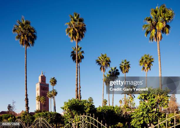 Mosque Tree 2,612 Palm Tree Mosque Stock Photos, High-Res Pictures, and Images ...