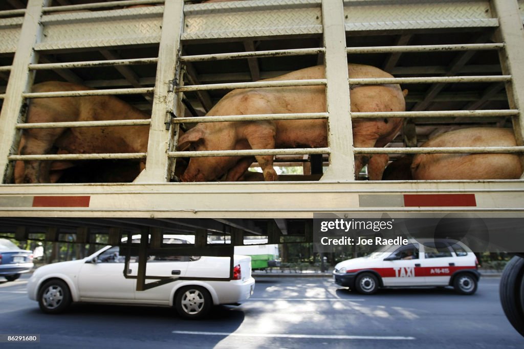 Swine Flu Fears Spread Throughout Mexico