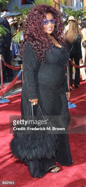 Singer Chaka Khan attends the 2nd Annual BET Awards on June 25, 2002 at the Kodak Theater in Hollywood, CA.