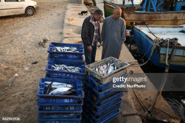 Palestinian fishermen prepare fish for sale after a night long fishing trip, in Gaza seaport , on October 19, 2017. Fishermen in Gaza can now sail...