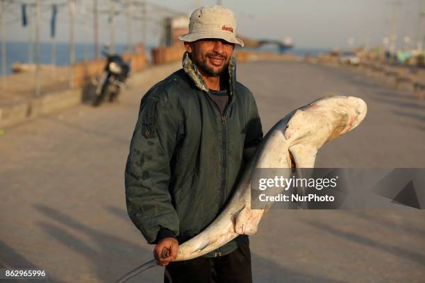 Palestinian fishermen display fish for sale after a night long fishing trip, in Gaza seaport , on October 19, 2017. Fishermen in Gaza can now sail...