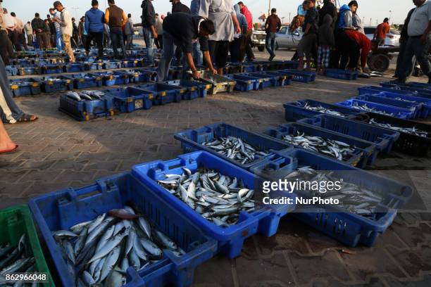 Palestinian fishermen display fish for sale after a night long fishing trip, in Gaza seaport , on October 19, 2017. Fishermen in Gaza can now sail...