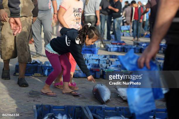 Palestinian fishermen display fish for sale after a night long fishing trip, in Gaza seaport , on October 19, 2017. Fishermen in Gaza can now sail...