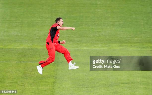Daniel Worrall of the Redbacks celebrates taking the first wicket of Aaron Finch of the Bushrangers during the JLT One Day Cup match between South...