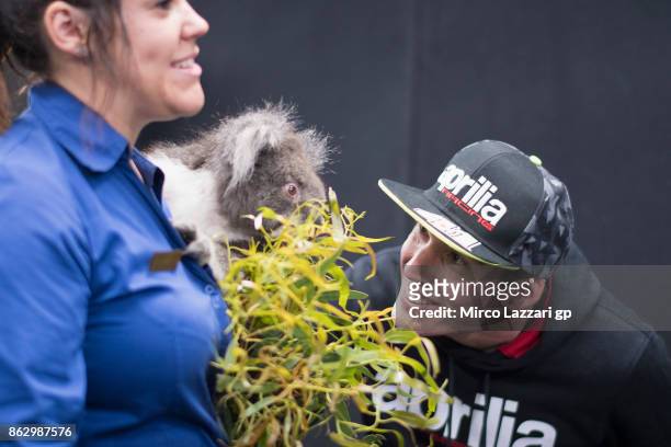 Aleix Espargaro of Spain and Aprilia Racing Team Gresini jokes with koala during the pre-event "MotoGP riders meet the australian animals" during...