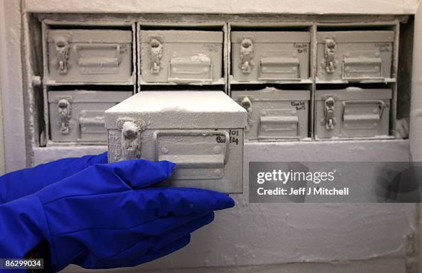 Scientists work in a lab at Vitrology Biotech Company on April 30, 2009 in Clydebank, Scotland. The Scottish based company will be attempting to...