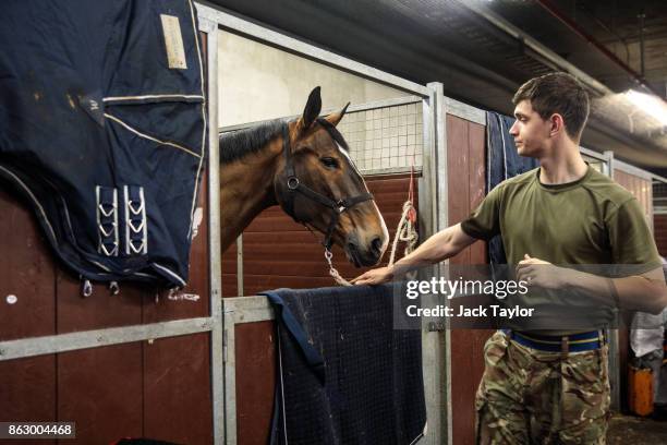 Soldiers from the King's Troop Royal Horse Artillery prepare the horses at Wellington Barracks ahead of their 70th anniversary parade on October 19,...