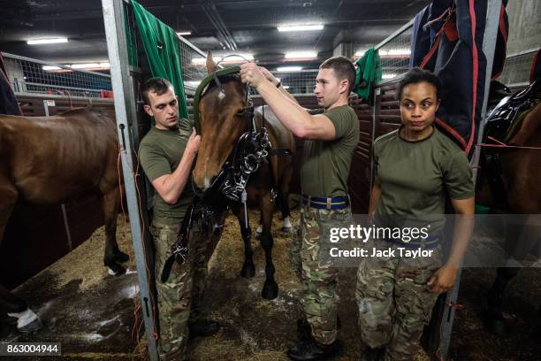 Soldiers from the King's Troop Royal Horse Artillery prepare the horses at Wellington Barracks ahead of their 70th anniversary parade on October 19,...