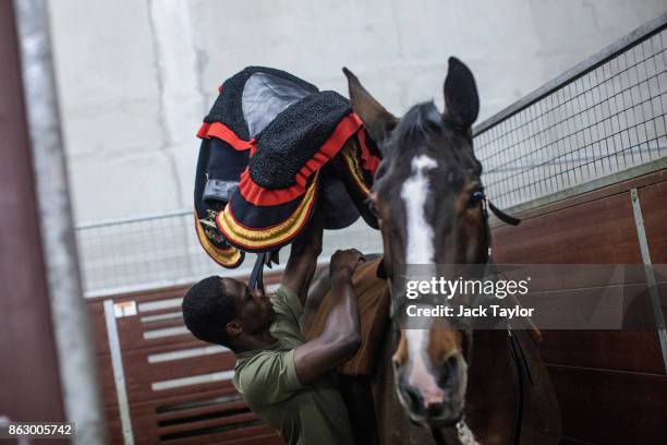 Soldier from the King's Troop Royal Horse Artillery places a saddle on to a horse at Wellington Barracks ahead of their 70th anniversary parade on...