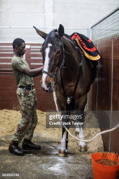 Soldier from the King's Troop Royal Horse Artillery prepares a horse at Wellington Barracks ahead of their 70th anniversary parade on October 19,...