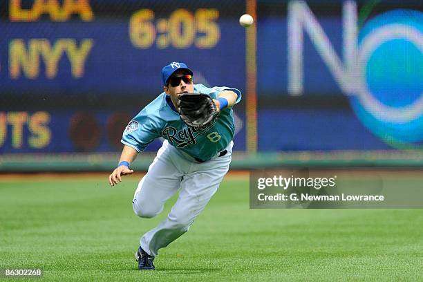 Willie Bloomquist of the Kansas City Royals dives to make a catch in the second inning against the Toronto Blue Jays on April 30, 2009 at Kauffman...