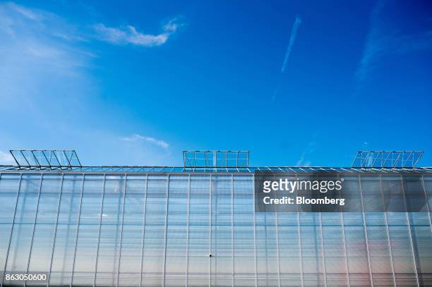The Roelands Plant Farms Inc. Greenhouse stands in Lambton Shores, Ontario, Canada, on Tuesday, Oct. 10, 2017. Roelands Plant Farms Inc. Relies on a...