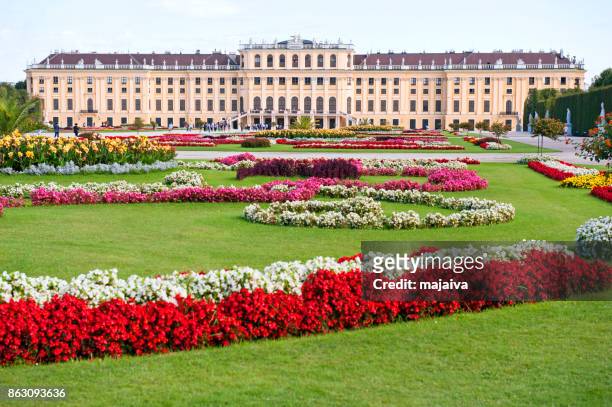 schonbrunn palace, vienna - majaiva stock pictures, royalty-free photos & images