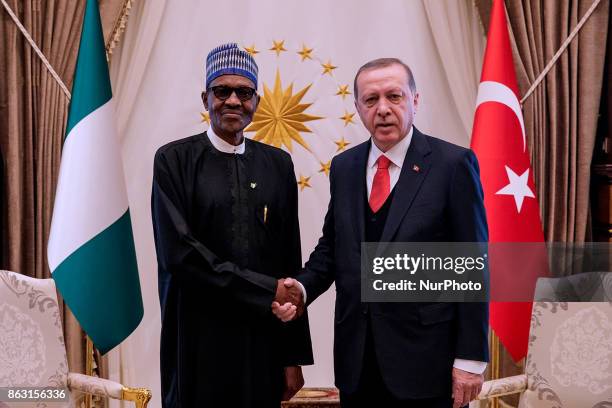 Turkish President Recep Tayyip Erdogan shaking hands with Nigerian President Muhammadu Buhari during a meeting at the presidential palace in Ankara,...