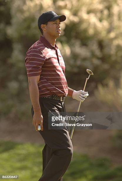 Tiger Woods walks from the 8th tee during the final round of the 2005 Target World Challenge Presented by Countrywide at the Sherwood Country Club in...