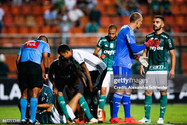 Players of Palmeiras in action during the match between Palmeiras and Ponte Preta for the Brasileirao Series A 2017 at Pacaembu Stadium on October...