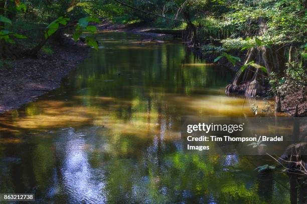 Blue Rock Springs Creek Photos and Premium High Res Pictures Getty Images