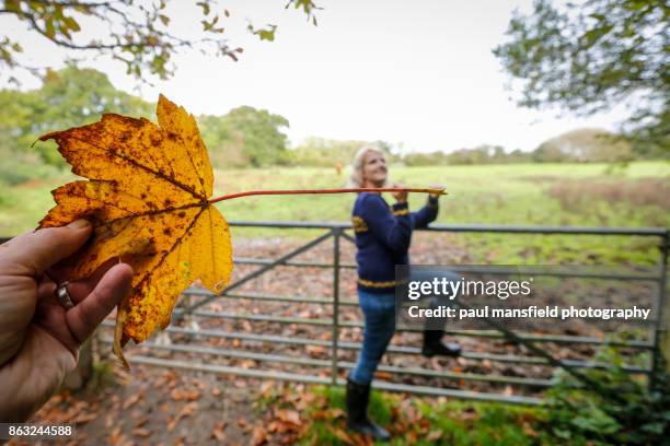 surreal image of lady holding giant leaf - ilusión óptica fotografías e imágenes de stock