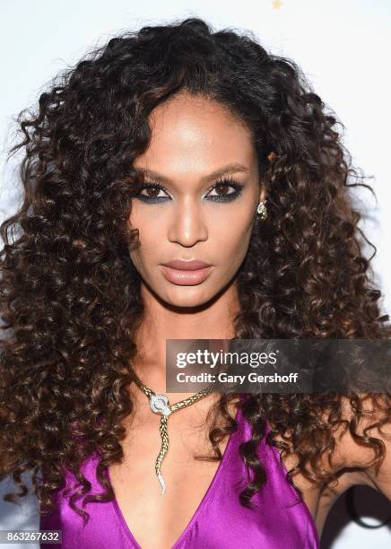 Actress Joan Smalls attends the 2017 CareOne Masquerade Ball for Puerto Rico Relief Effort at Skylight Clarkson North on October 19, 2017 in New York...