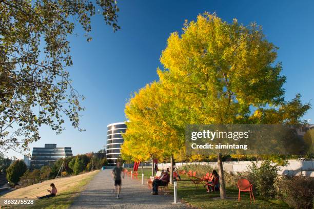 olympic sculpture park en seattle - fall in seattle fotografías e imágenes de stock