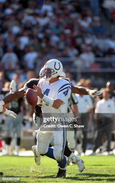 Jim Harbaugh of the Indianapolis Colts looks to pass against the Oakland Raiders at Oakland Coliseum circa 1995 in Oakland, California.