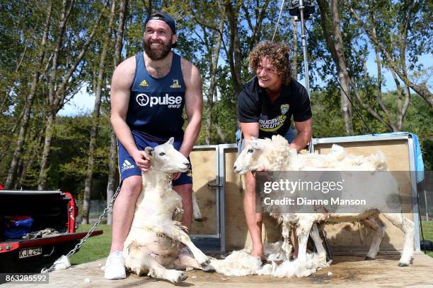 Liam Coltman and Nick Cummins pose for a photo with the sheep after taking part in a sheep shearing contest on October 20, 2017 in Dunedin, New...