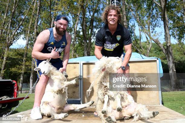 Liam Coltman and Nick Cummins pose for a photo with the sheep after taking part in a sheep shearing contest on October 20, 2017 in Dunedin, New...