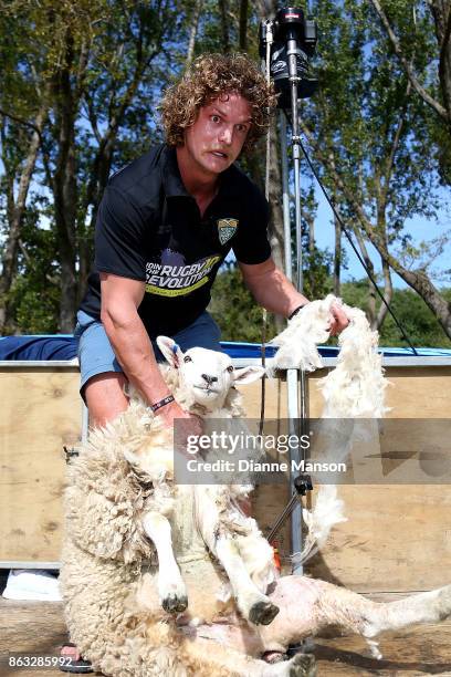 Nick Cummins take part in a sheep shearing contest on October 20, 2017 in Dunedin, New Zealand.