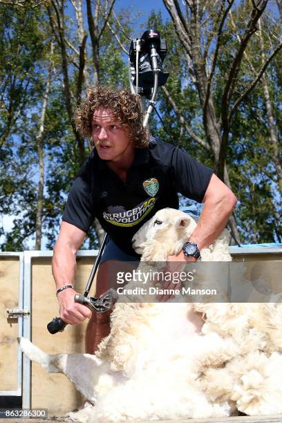 Nick Cummins take part in a sheep shearing contest on October 20, 2017 in Dunedin, New Zealand.
