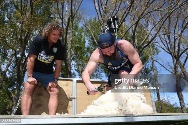 Nick Cummins looks on as Liam Coltman shears a sheep in a sheep shearing contest on October 20, 2017 in Dunedin, New Zealand.