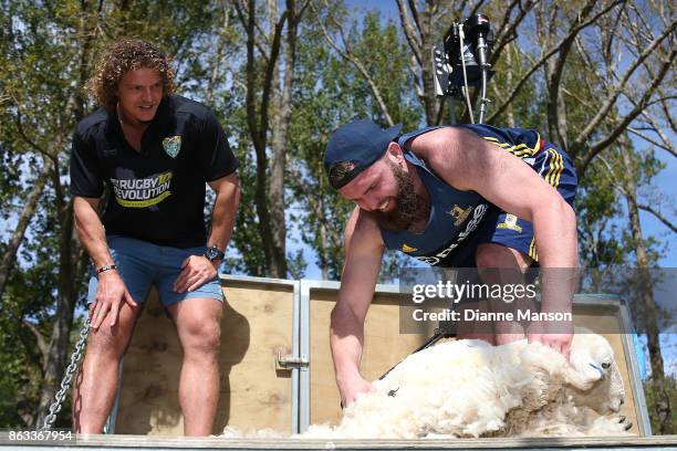 Nick Cummins looks on as Liam Coltman shears a sheep in a sheep shearing contest on October 20, 2017 in Dunedin, New Zealand.
