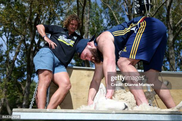 Nick Cummins looks on as Liam Coltman shears a sheep in a sheep shearing contest on October 20, 2017 in Dunedin, New Zealand.