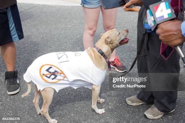 -- Gainesville, October 18, 2017 -- A protester dresses his dog in an anti-nazi shirt at the University of Florida in Gainesville, Florida, United...