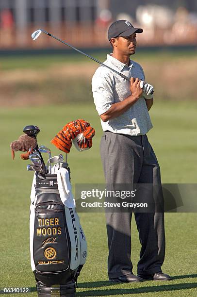 Patience Harding Photos and Premium High Res Pictures - Getty Images