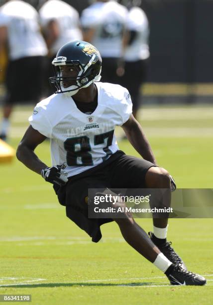 Wide receiver Jarett Dillard of the Jacksonville Jaguars runs for a pass May 1, 2009 at a team minicamp near Jacksonville Municipal Stadium in...