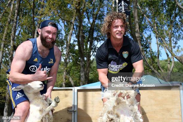 Liam Coltman and Nick Cummins take part in a sheep shearing contest on October 20, 2017 in Dunedin, New Zealand.