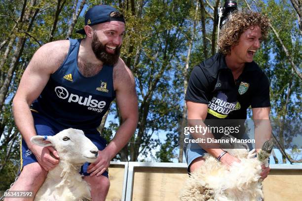 Liam Coltman and Nick Cummins take part in a sheep shearing contest on October 20, 2017 in Dunedin, New Zealand.