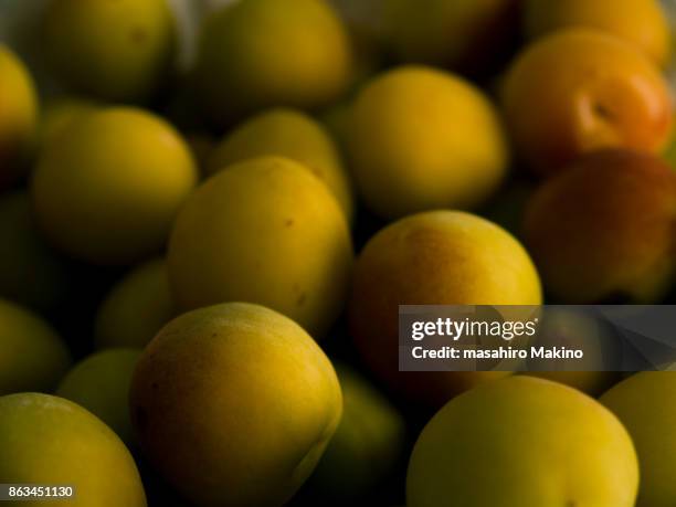 japanese plums - prunus mume fotografías e imágenes de stock