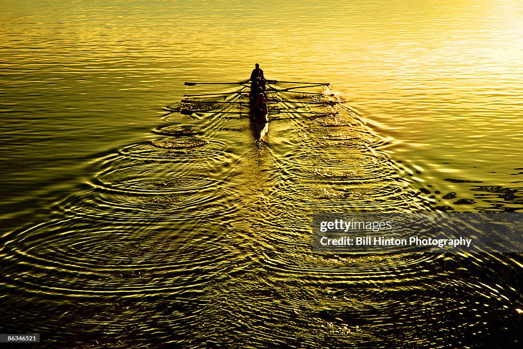 Sculling team at sunset