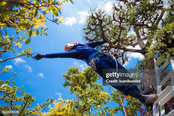 Tree Pruning Ladder Photos and Premium High Res Pictures - Getty Images