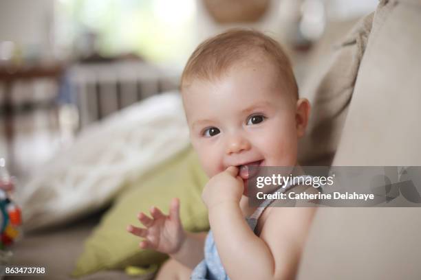 a 8 months baby girl smiling - finger in mouth fotografías e imágenes de stock