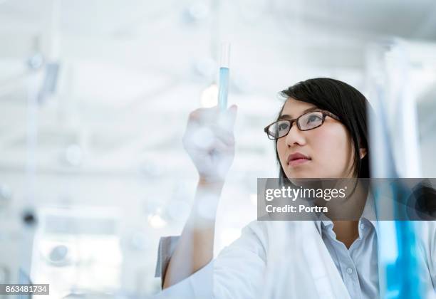 médico científico mirando la muestra en tubo de ensayo - probeta fotografías e imágenes de stock