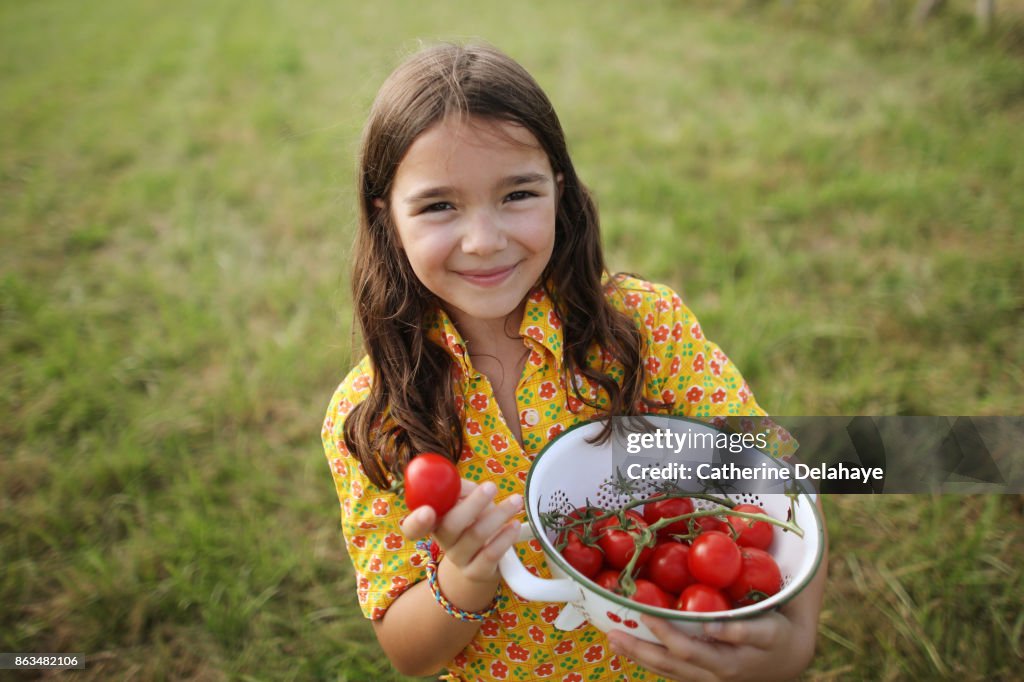 A 8 years old girl eating tomatoes in the countryside