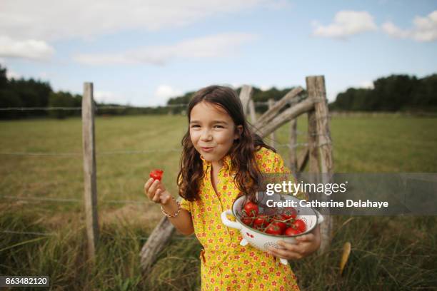 a 8 years old girl eating tomatoes in the countryside - food happiness stock pictures, royalty-free photos & images