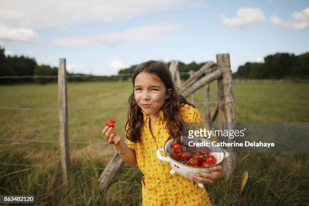 a 8 years old girl eating tomatoes in the countryside - 8 9 years 個照片及圖片檔